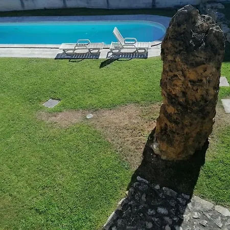 Amazing Lodge By The Ocean - Fully Equipped! Ericeira Exterior photo